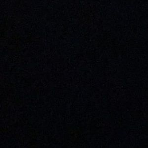 Meet your Posher, Sidney